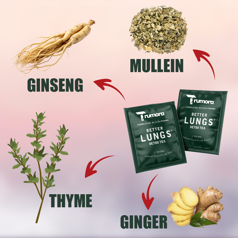 Mullein Detox Tea - Better For Lungs 