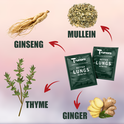 Mullein Detox Tea - Better For Lungs 