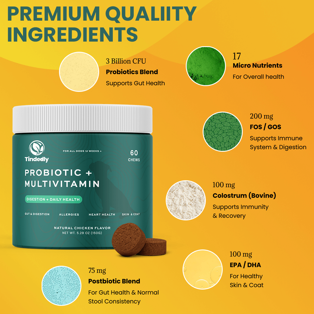Probiotic + Multivitamin Chews for Dogs
