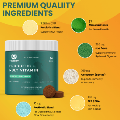 Probiotic + Multivitamin Chews for Dogs