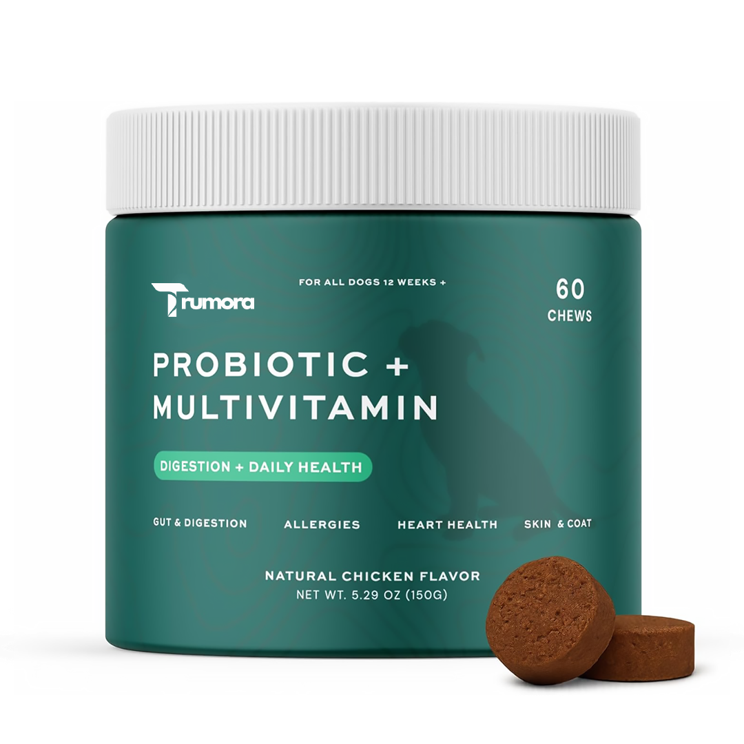 Probiotic + Multivitamin Chews for Dogs