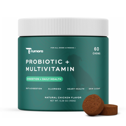 Probiotic + Multivitamin Chews for Dogs