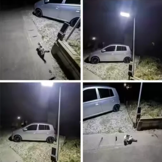 DAMAI™ SolarLight Pro