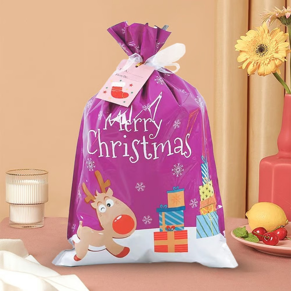 🎄 Christmas Gift Bags (Biodegradable)