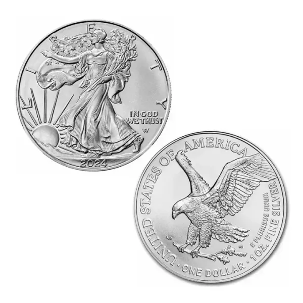 🔥LAST DAY SPECIAL SALE 50% OFF🔥 American Eagle 2024 Silver Proof Coin