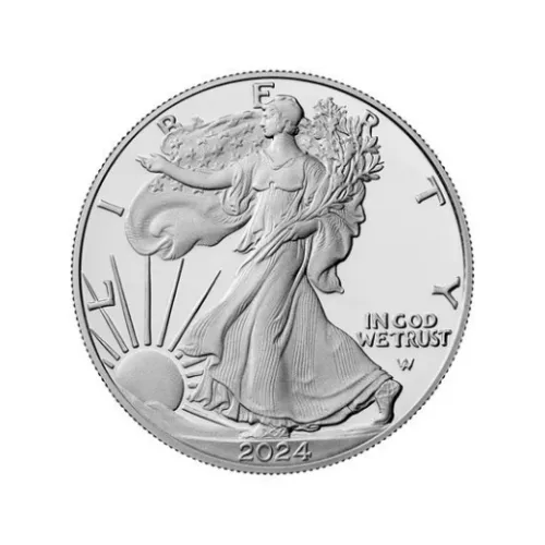 🔥2024 1 oz American Silver Eagle Coin