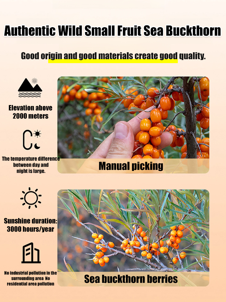 Sea Buckthorn Seed Oil Eye Care Soft Capsules