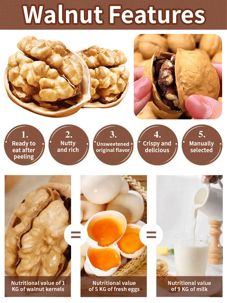 🌿Fresh Organic Paper-Shell Walnuts [California, USA]