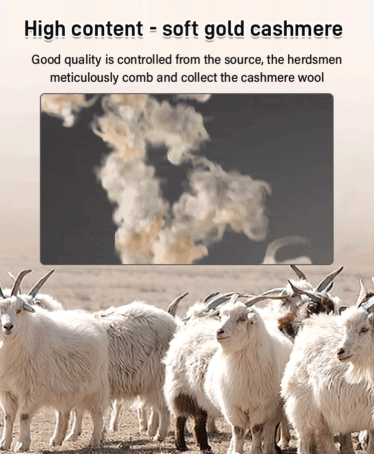 Cashmere Warm Shawl Scarf Dual Purpose Cardigan