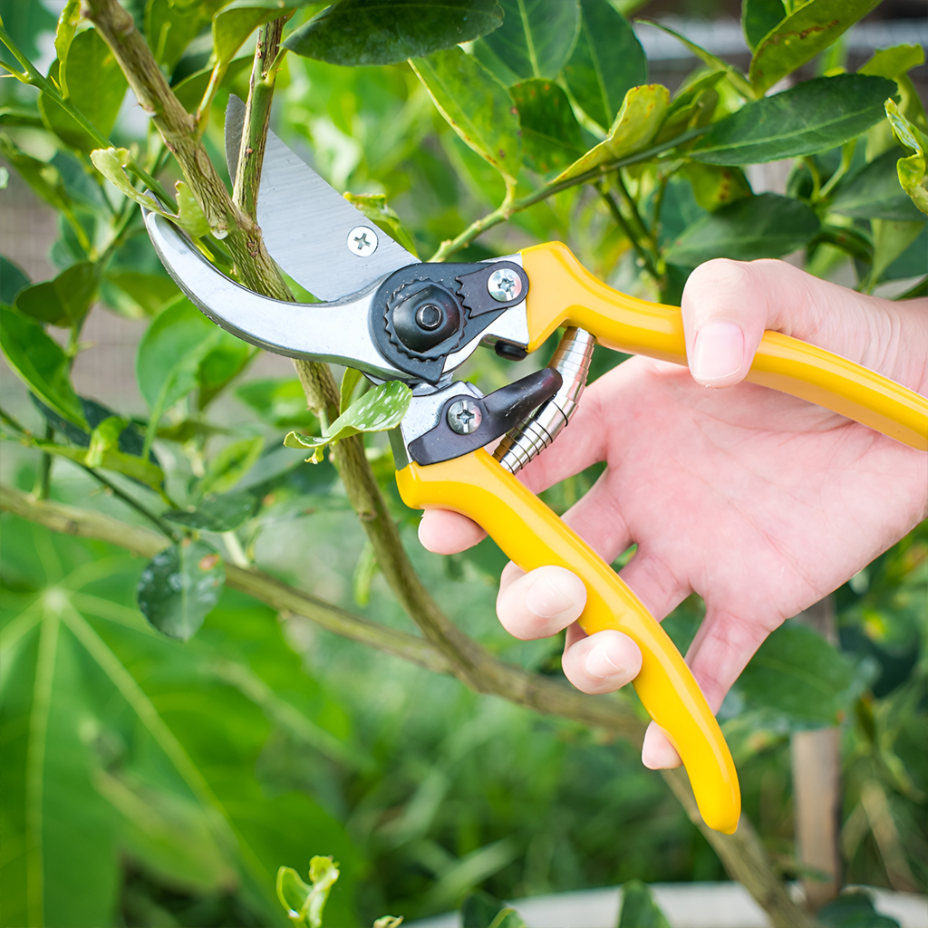 Gartengeräte园艺工具