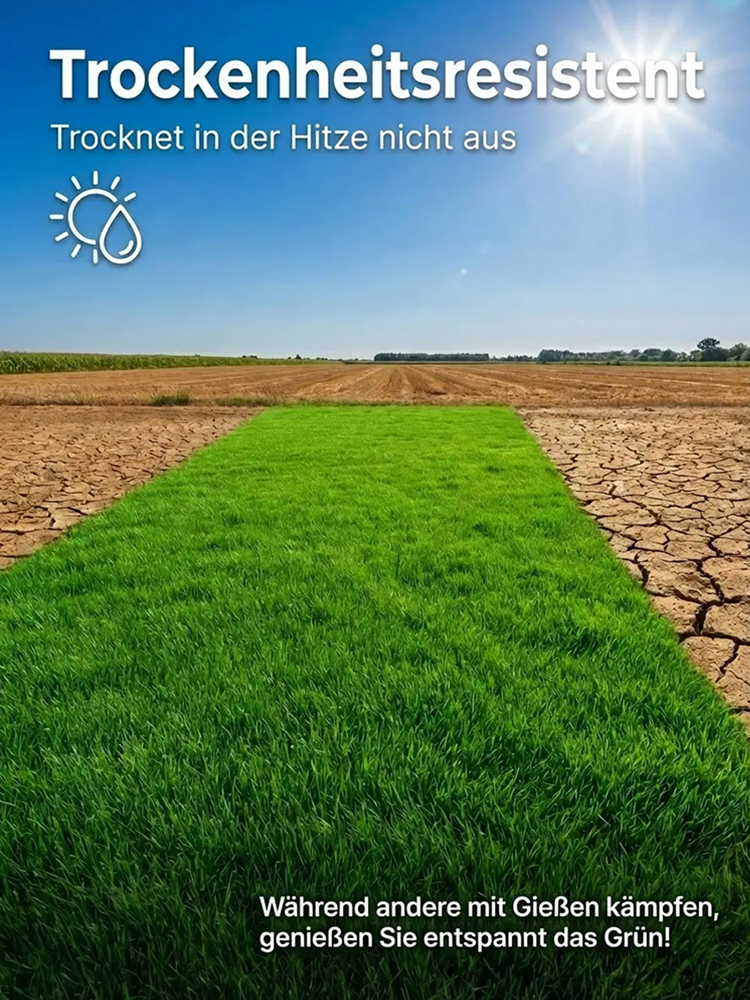【Keimrate 99%】Vierjahreszeiten-Gras, frostbeständiger Rasensamen ⛳ Traumrasen in 7 Tagen – OHNE Mähen! 🌿