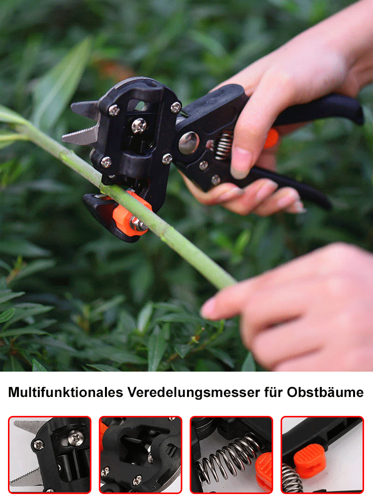 Multifunktionales Veredelungsmesser für Obstbäume