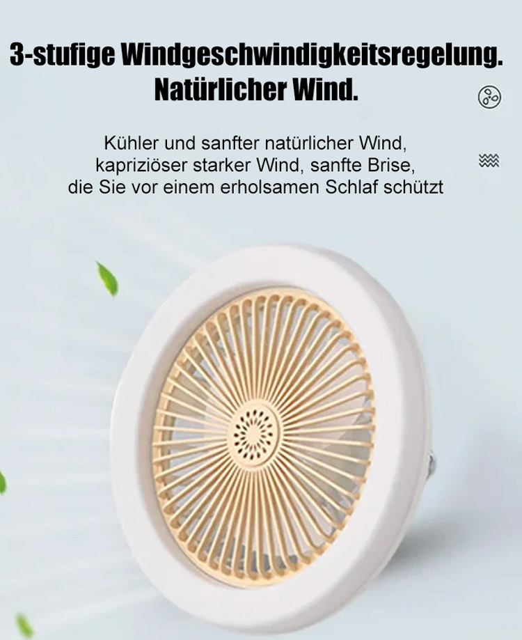 Beleuchtungsventilator, Zwei-in-Eins-Energiesparlampe