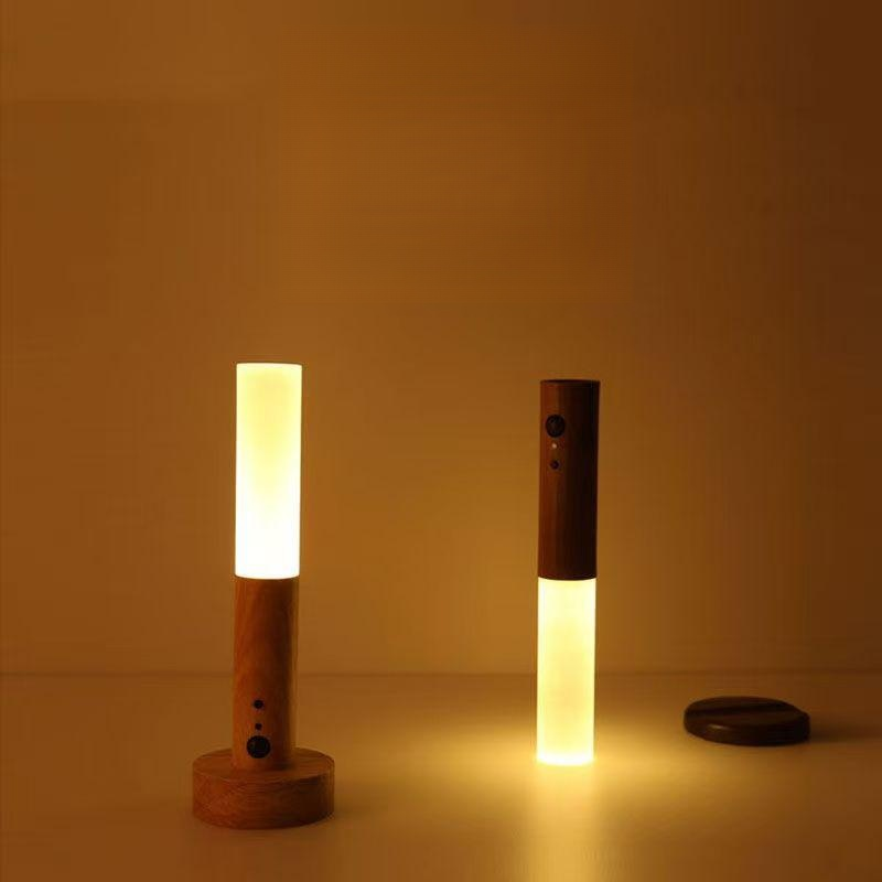 Induktionslampe für den menschlichen Körper