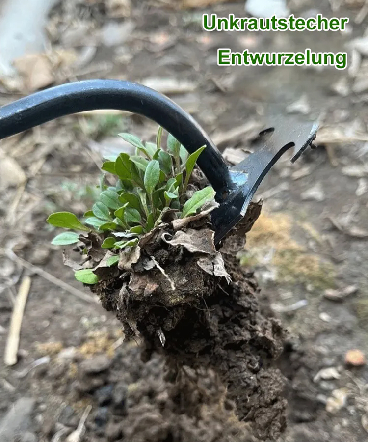 Multifunktionaler Unkrautstecher und Löser