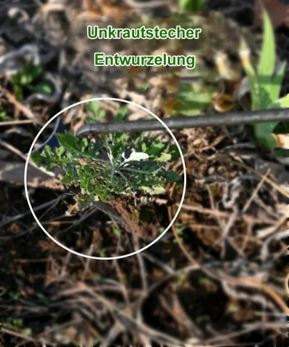 Multifunktionaler Unkrautstecher und Löser