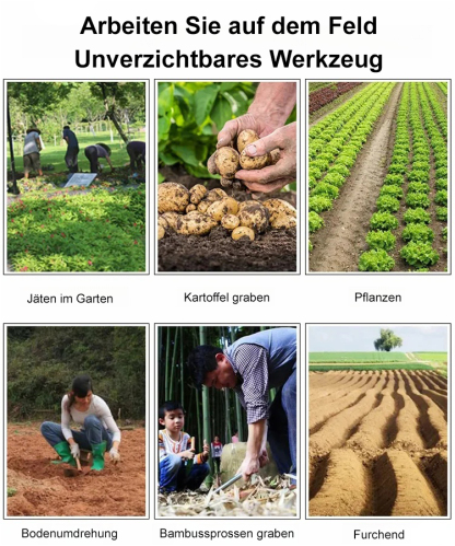 Multifunktionaler Unkrautstecher und Löser