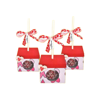 Custom Cake Popsicle Packaging Box