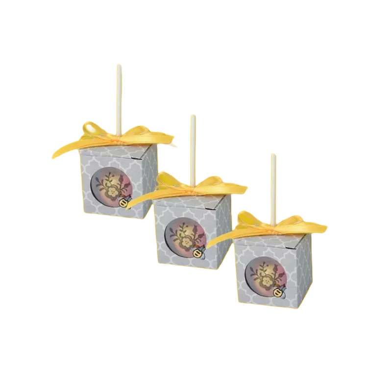 Custom Cake Popsicle Packaging Box