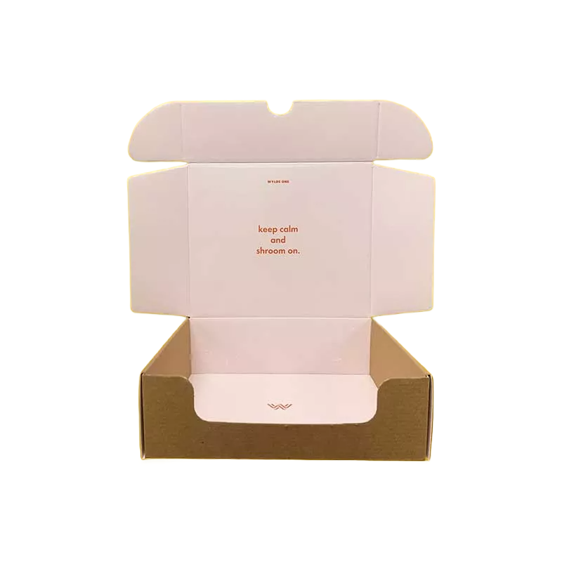 Customized Mail Software Box