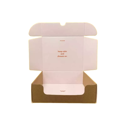 Customized Mail Software Box