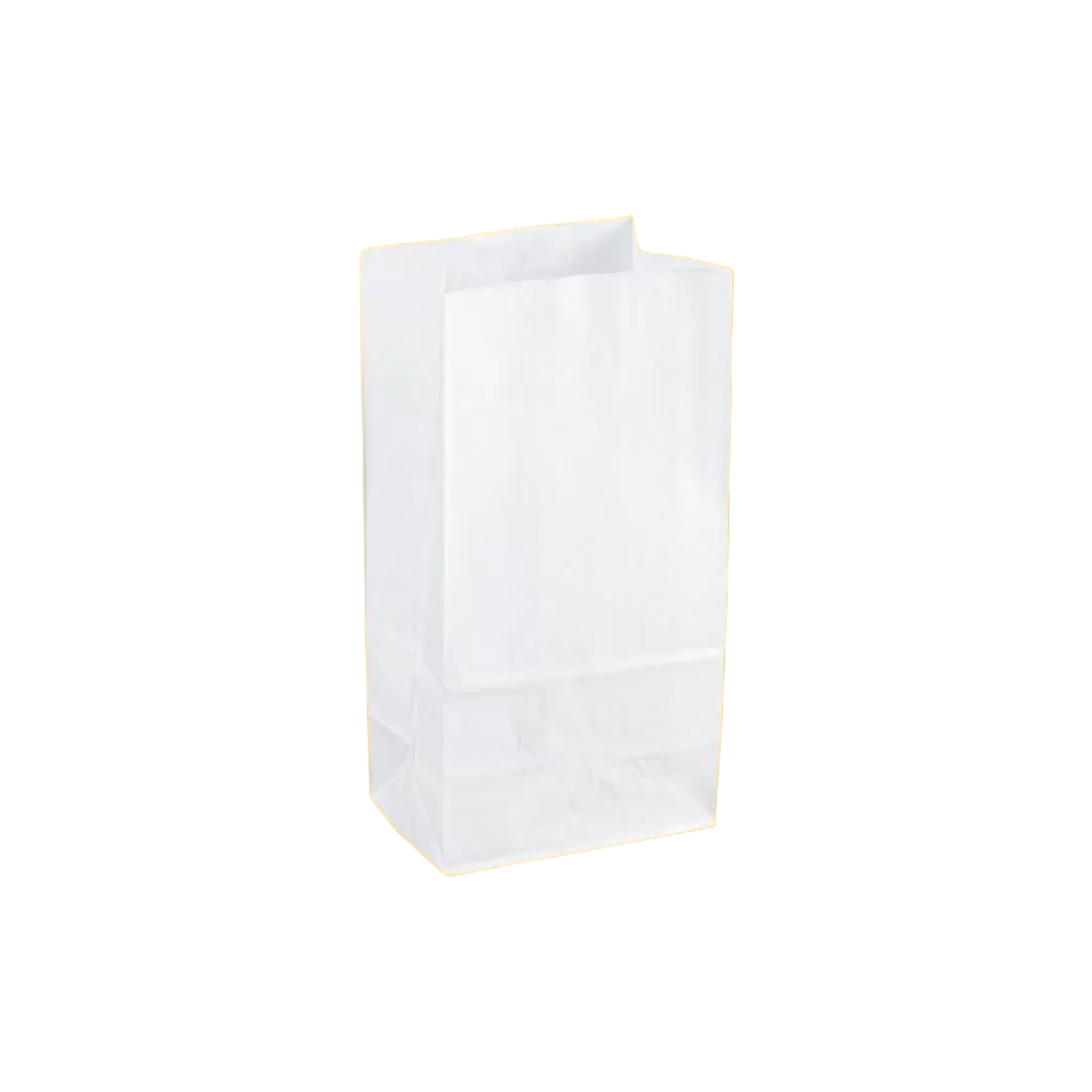 Custom White Kraft Paper Bag