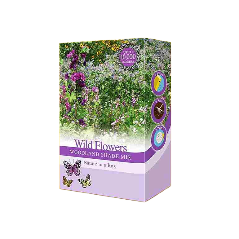 Custom Wildflower Seed Boxes