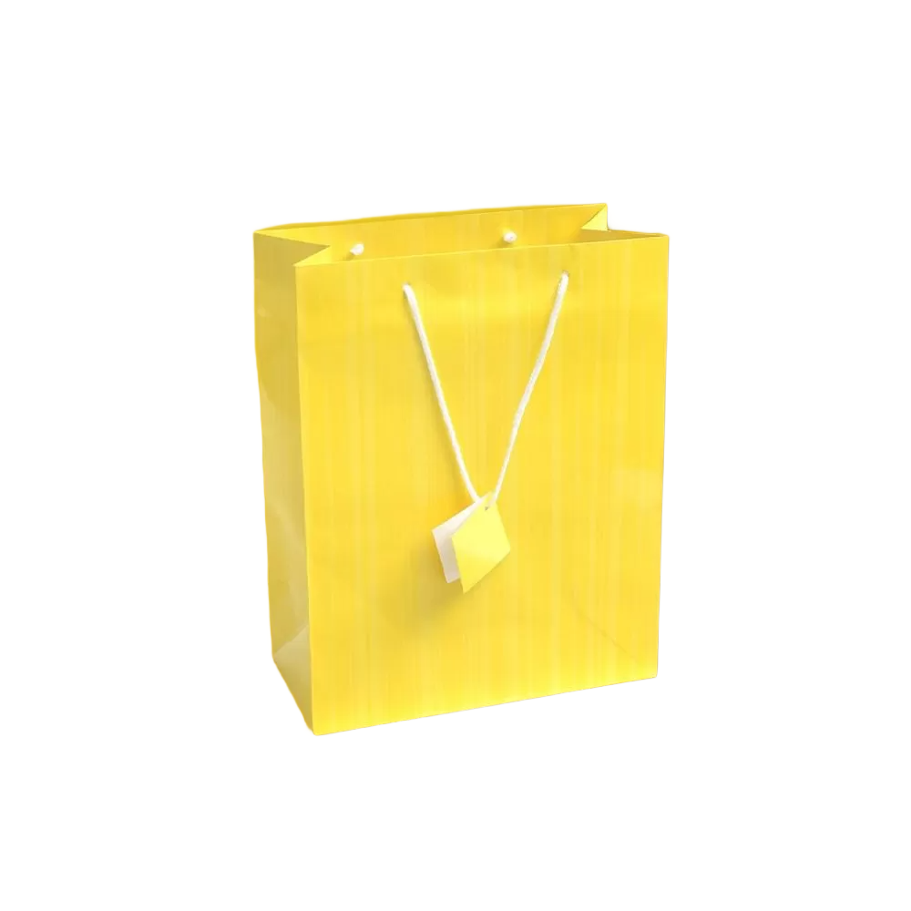 Custom luxury shopping bags