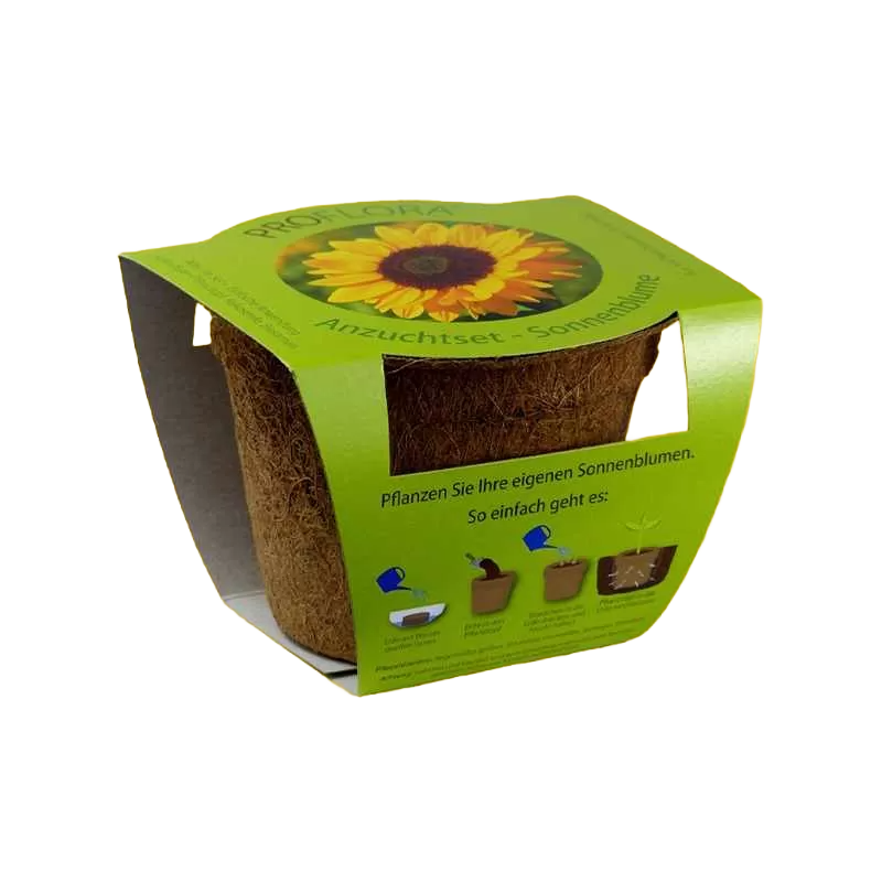 Sunflower Seed Box