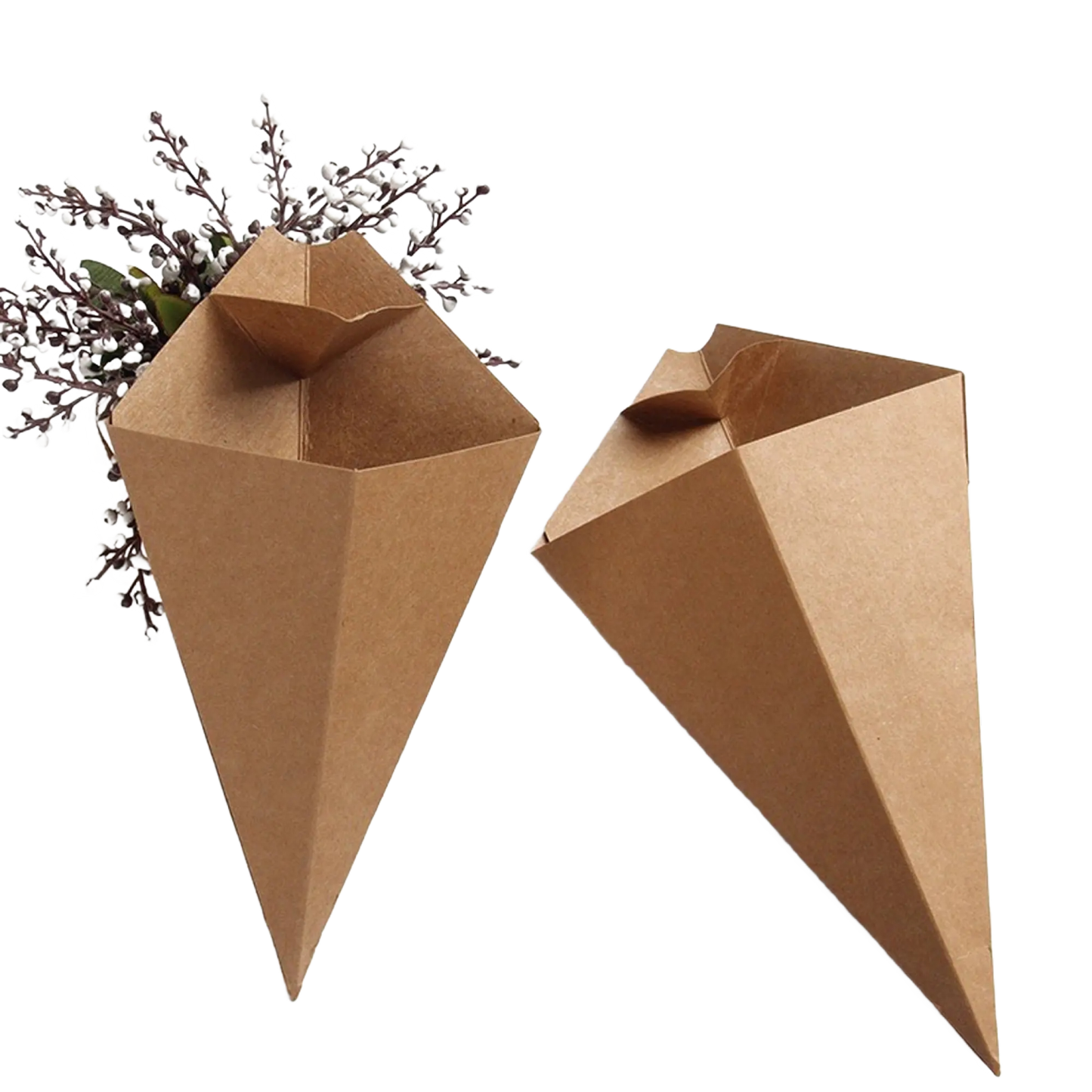 Paper Cones