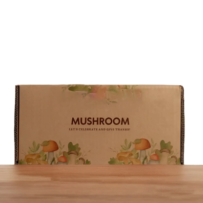 Mushroom Boxes