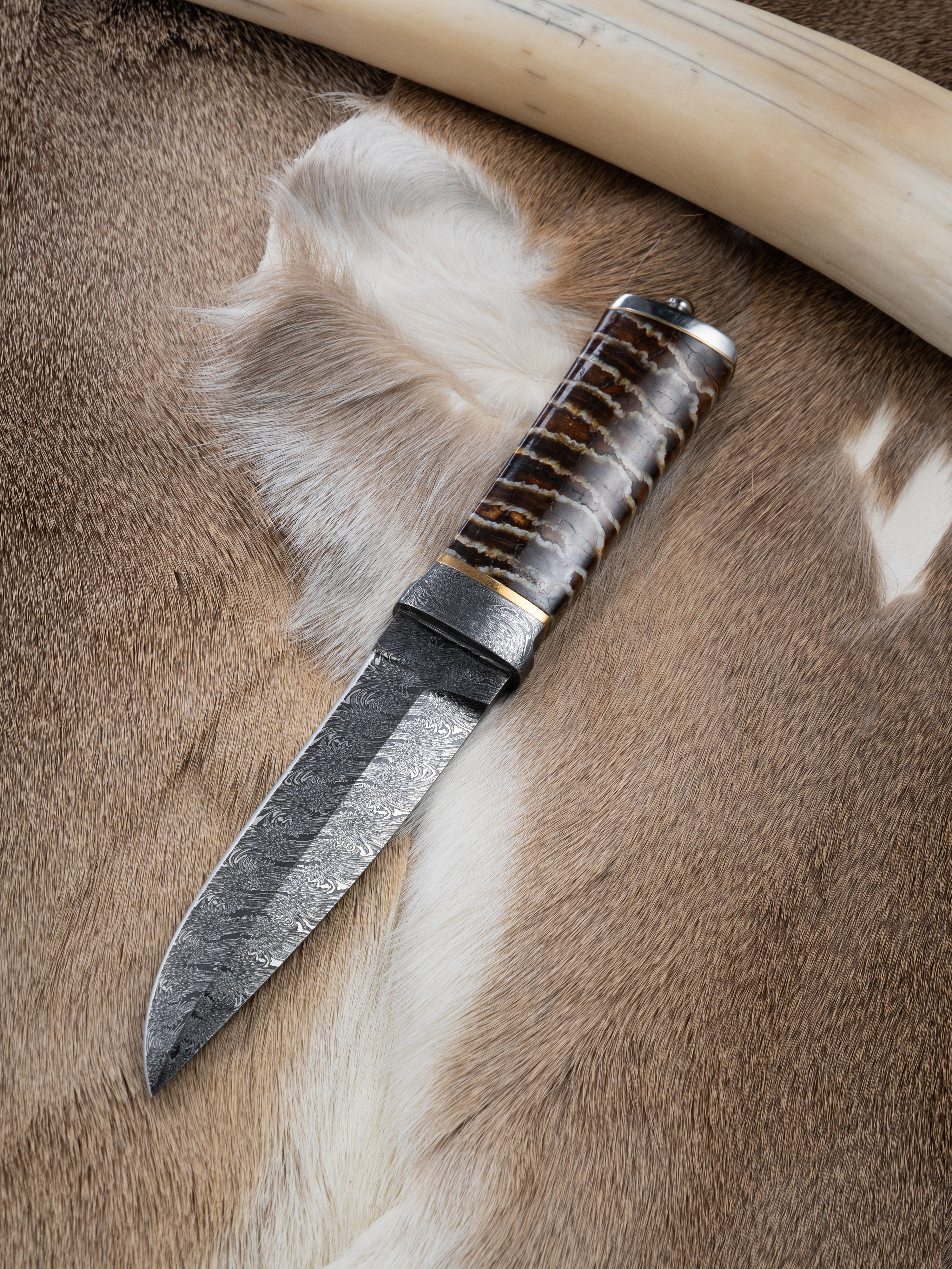“Fenrir – The Tooth of the North (Mammoth Fossil Edition)” | Spiral Damascus Knife | Mammoth Molar Handle | Hand-Forged by Bang In Forge
