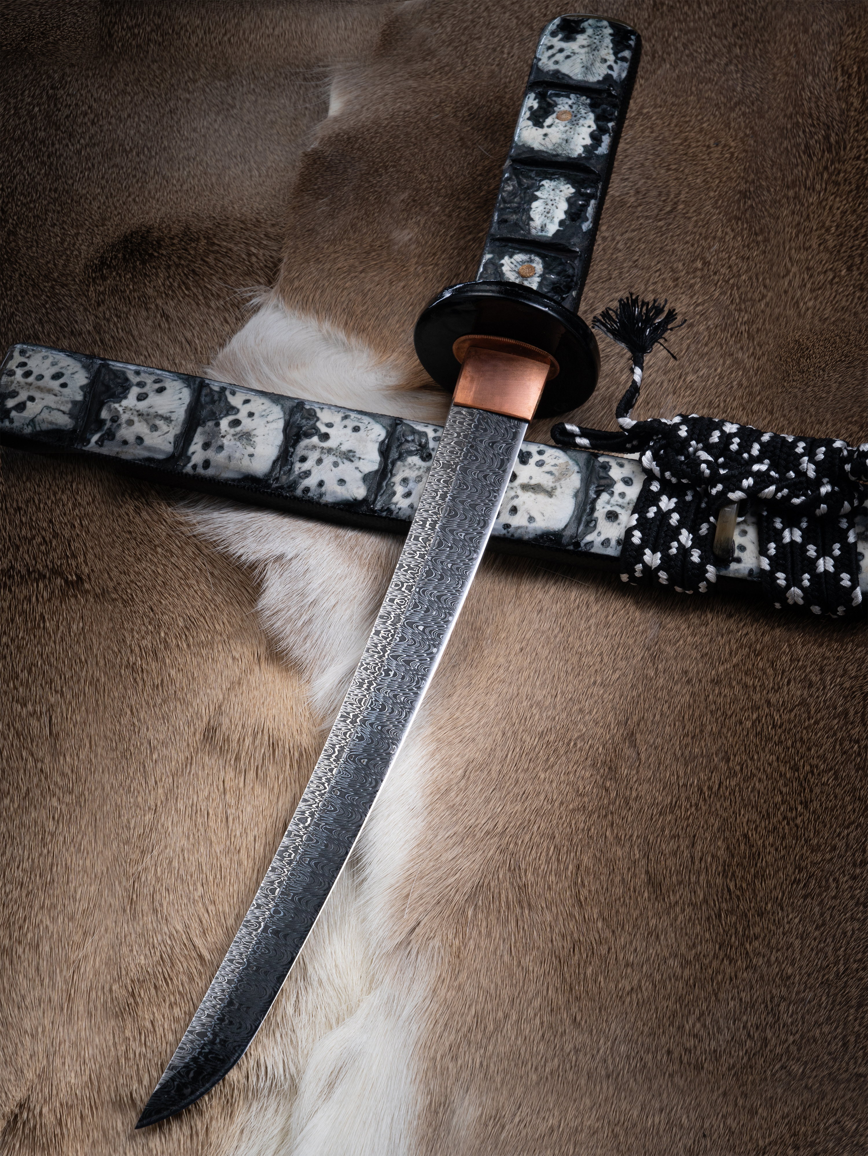 Ryu no Kiba” – Damascus Wakizashi | Crocodile Bone Mounts | Mutated Ladder Pattern | Hand-Forged by Bang In Forge