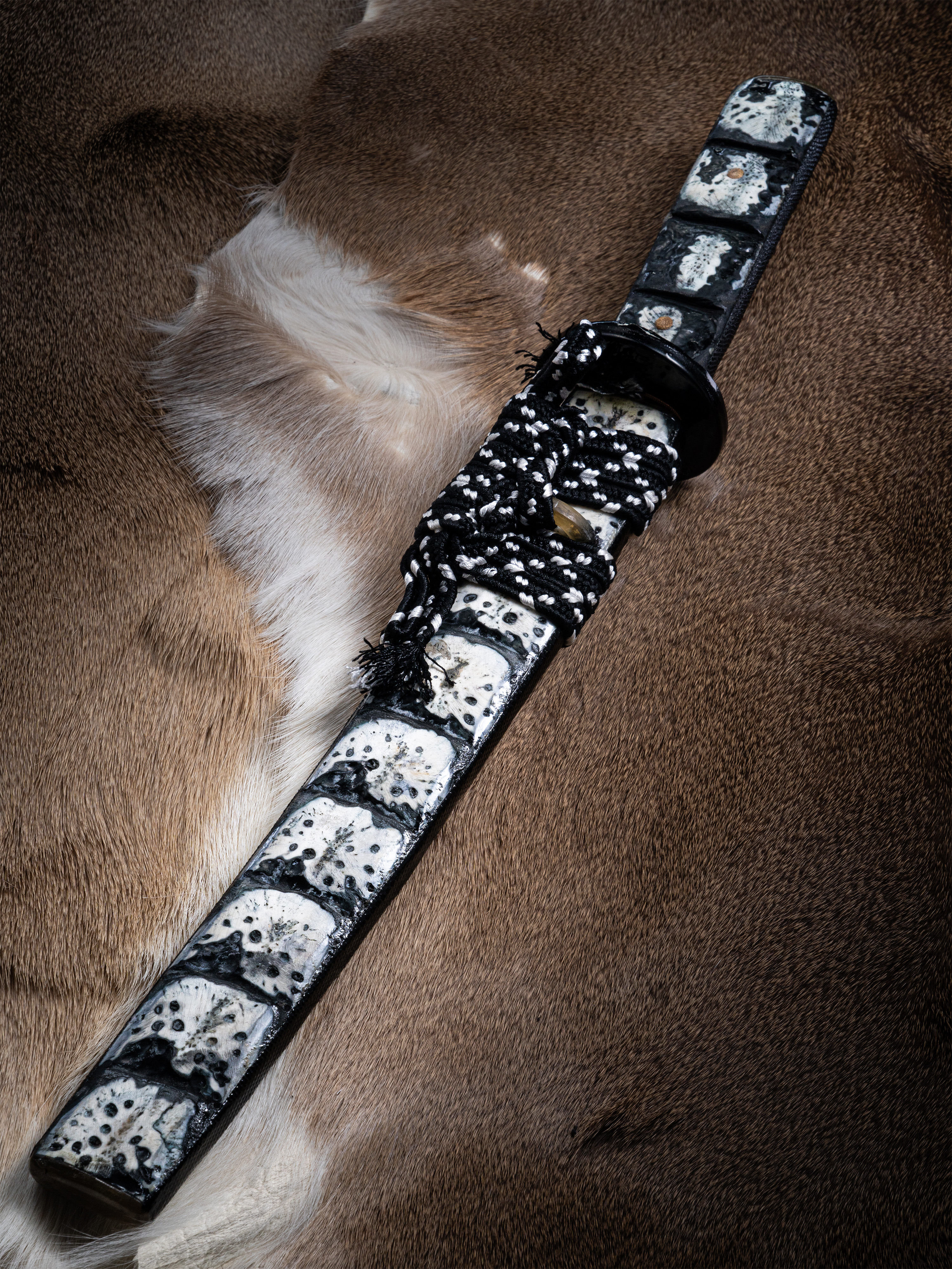 Ryu no Kiba” – Damascus Wakizashi | Crocodile Bone Mounts | Mutated Ladder Pattern | Hand-Forged by Bang In Forge