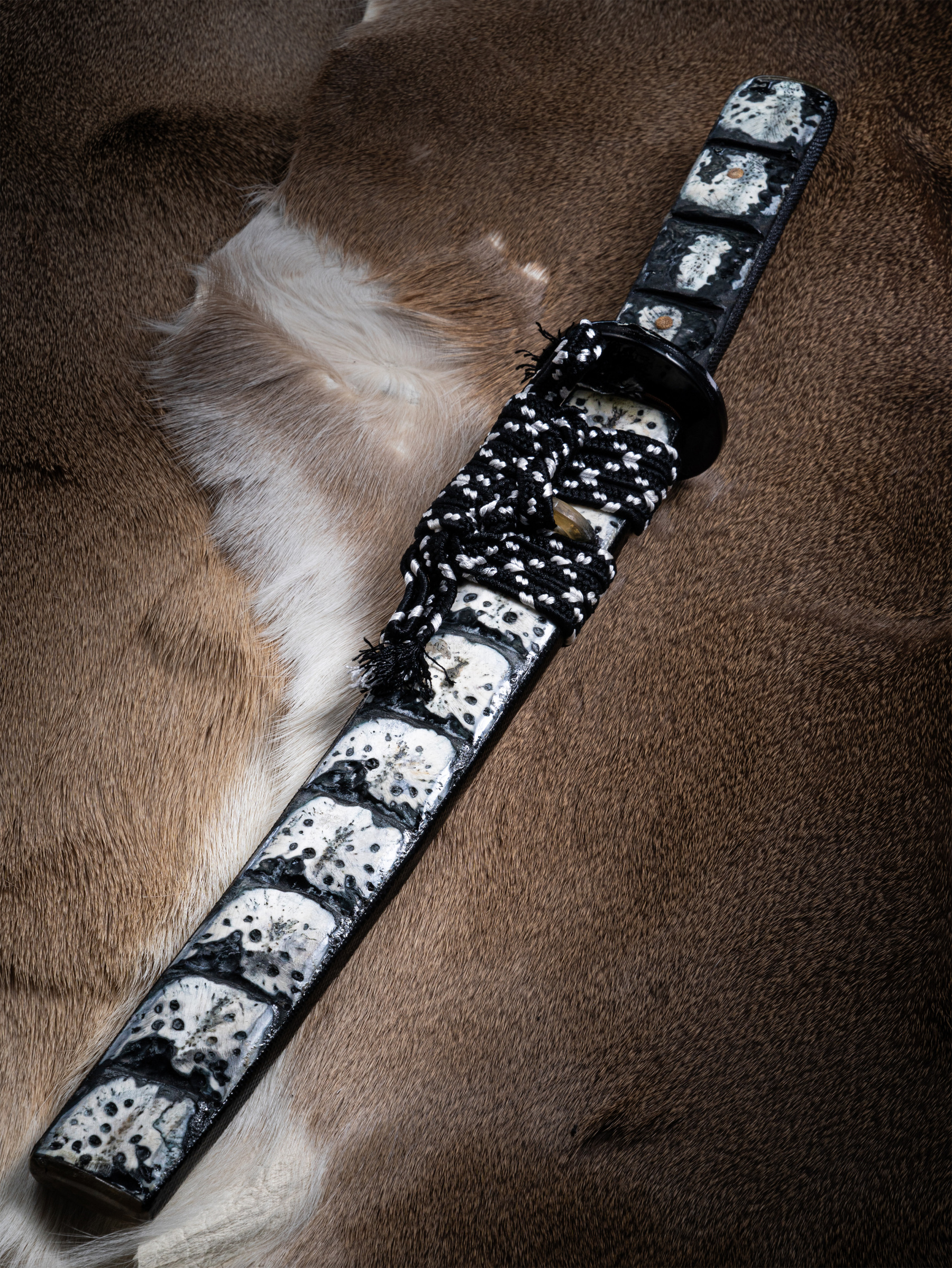 Ryu no Kiba” – Damascus Wakizashi | Crocodile Bone Mounts | Mutated Ladder Pattern | Hand-Forged by Bang In Forge