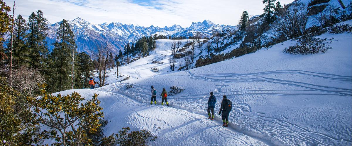 How Do Ice Studs for Shoes Improve Traction in Snow and Ice?-Kavonix