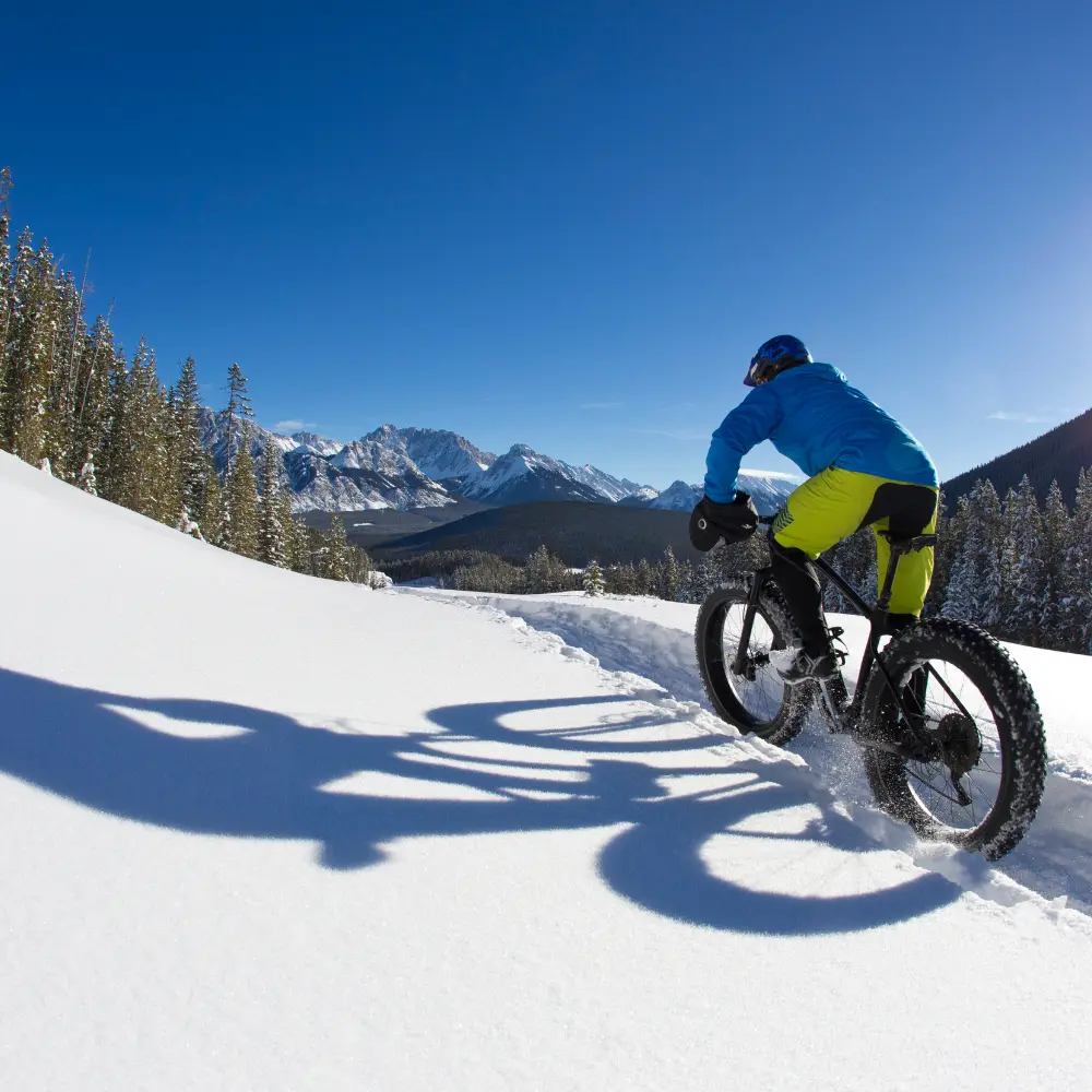 Fat bike tire studs for stable riding on snowy trails