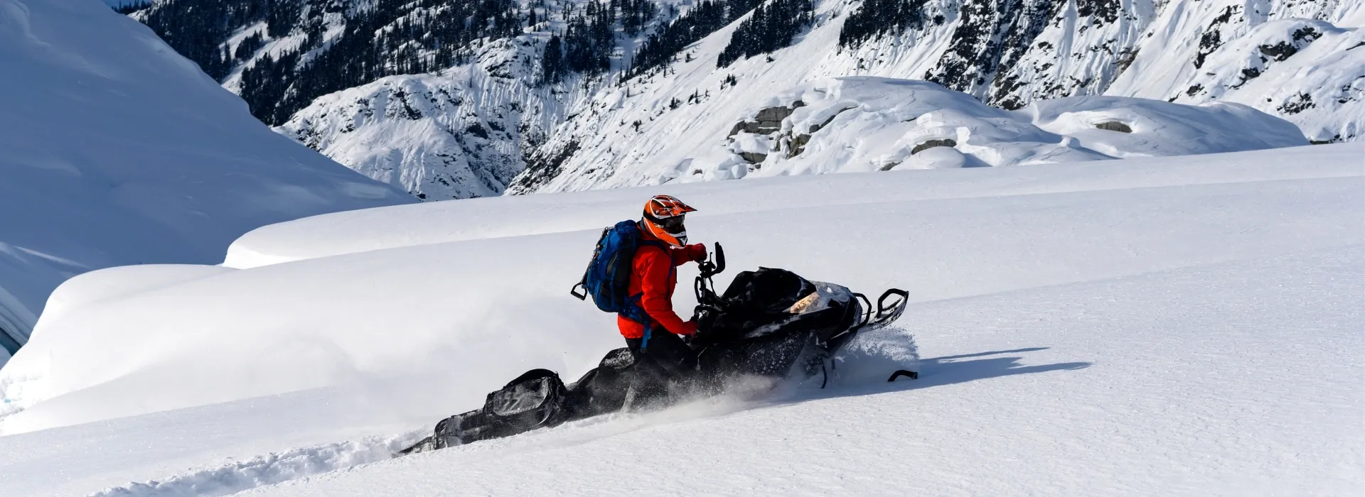 Snowmobile Track Studs