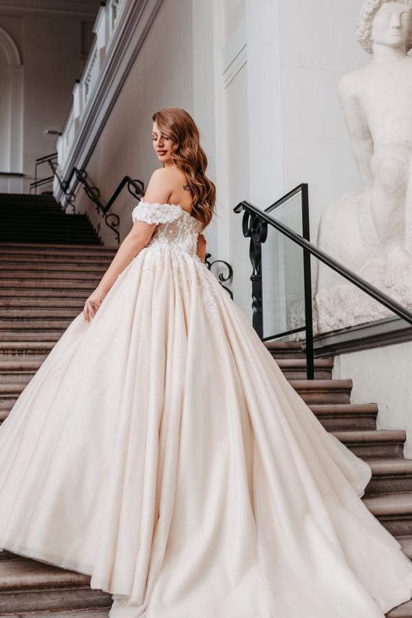 Champagner Brautkleider Prinzessin Tüll Hochzeitskleid mit Spitze-babyonlinedressde