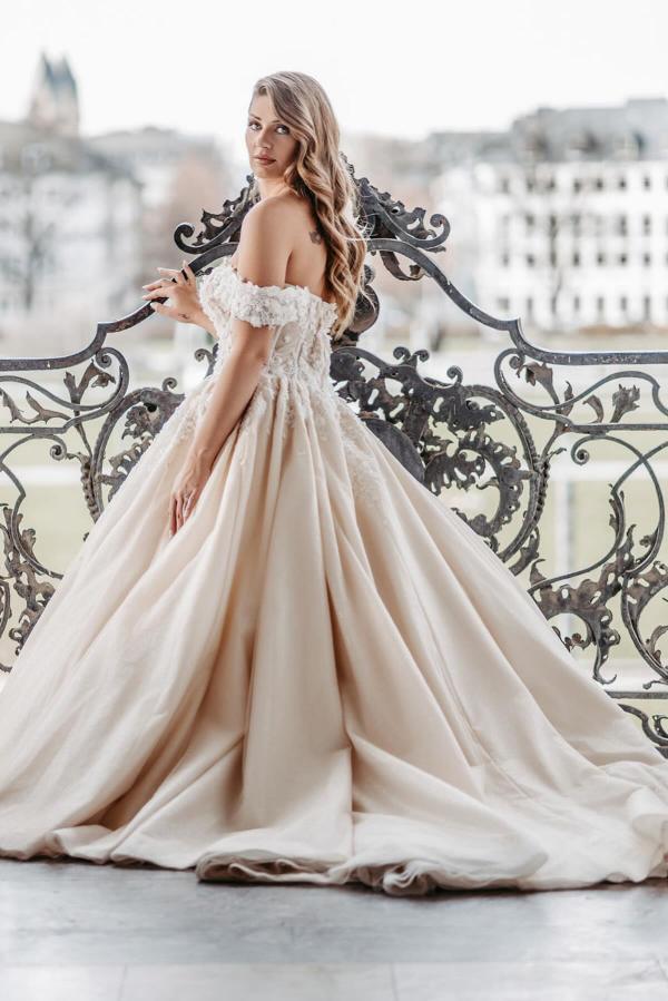 Champagner Brautkleider Prinzessin Tüll Hochzeitskleid mit Spitze-babyonlinedressde