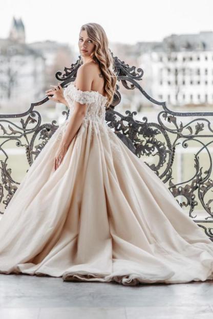 Champagner Brautkleider Prinzessin Tüll Hochzeitskleid mit Spitze-babyonlinedressde