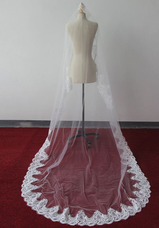 Beautiful Lace Applique Tulle Edge Wedding Veils