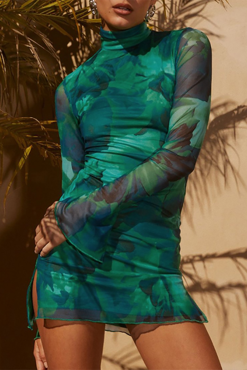 Floral Print High Neck Long Sleeve Mesh Mini Dresses-Green