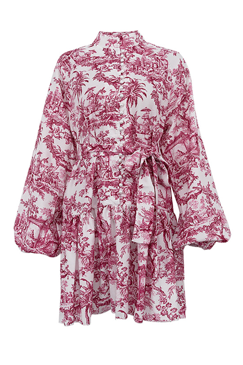 Ink Painting Print Stand Collar Balloon Sleeve Tie Up A-Line Mini Dresses-Grey