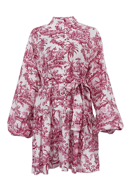 Ink Painting Print Stand Collar Balloon Sleeve Tie Up A-Line Mini Dresses-Grey