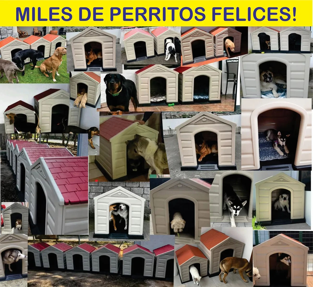 Q Perrón Big Breed Dog House - Raza Grande/mediana