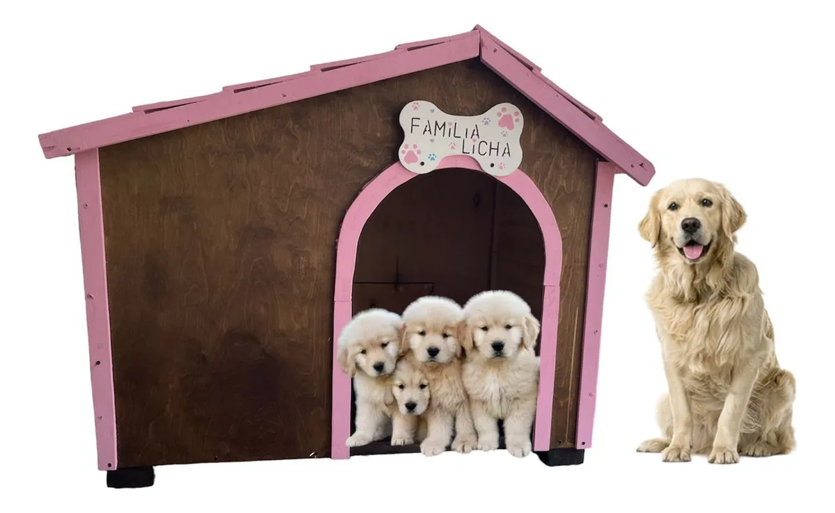 Casa Para Perros Raza Grande Con Regalos Incluidos