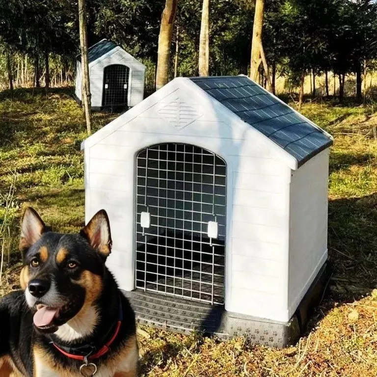 Casa Para Perros Raza G R A N D E Con Puerta Q Perrón +de 1m