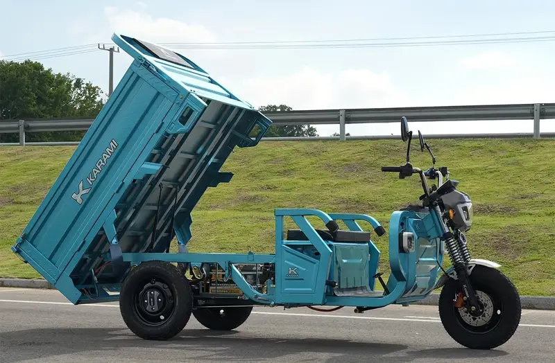   eléctrica de       adultos,  ador de 18   Eje trasero: Eje trasero semiflotante de 180     pieza Neumáticos: Neumáticos de     delanteros y traseros Función de absorción de  ; Amortiguador hidráulico de     de 37 Alarma     detalles 12