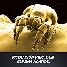 Koblenz, aspiradora, aspiradora de mano, aspirador industrial, Karcher, limpieza